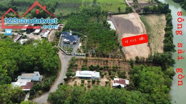 BÁN GẤP 4 LÔ 20X46=920M2 SHR THỔ CƯ DÂN ĐÔNG, NGAY KCN DẦU TIẾNG GIÁ 580TR