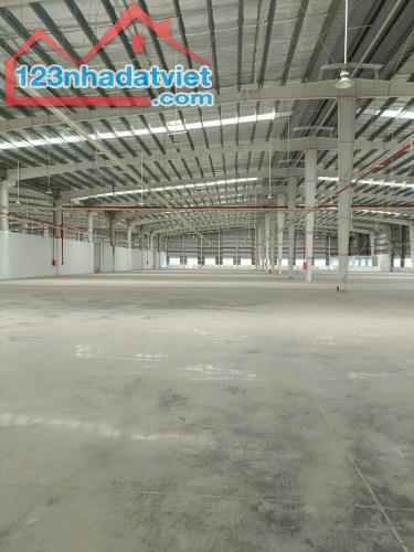 Cho Thuê Xưởng KCN VSIP Bình Dương – 17.000m², PCCC Tự Động, Tiện Ích Hiện Đại – Liên Hệ - 3