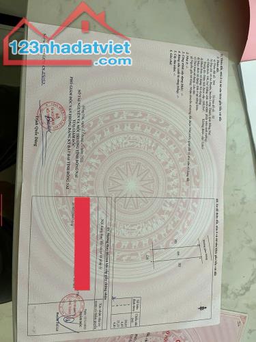 🔥 BÁN LÔ ĐẤT ĐỐI DIỆN TRƯỜNG AN PHƯỚC – VỊ TRÍ VÀNG, GIÁ CHỈ 1.6 TỶ 🔥