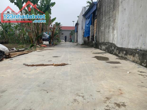 Bán lô đất 131m2 ngang 10m tuyến 2 trục thôn Phong Cầu Đại Đồng Kiến Thụy - 2