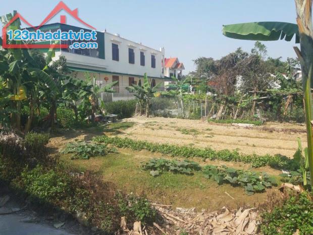 Bán lô đất 131m2 ngang 10m tuyến 2 trục thôn Phong Cầu Đại Đồng Kiến Thụy - 4