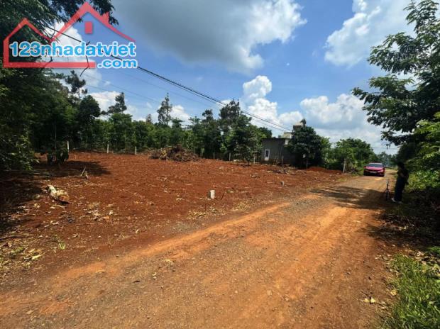 Bán 125m² Đất Xã Hoà Đông, Krông Pắc – Cạnh Trường Tiểu Học Cư Pul – Giá 4,4 Triệu/m²