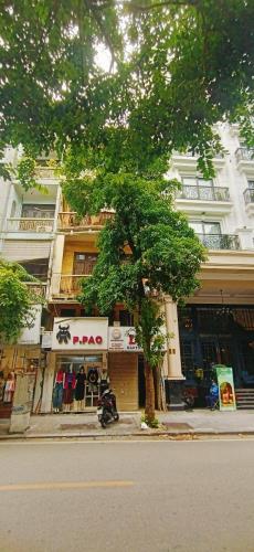 Mặt phố Hàng Bông_💥 Vỉa Hè Ô Tô Tránh_LÔ Góc _ SĐCC_ 39m2_Giá 👉27 tỷ TL - 1