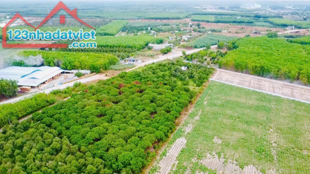 Đất nền Khu Công Nghiệp Bàu Bàng giá rẻ - 1