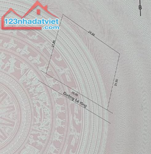 501m² (trong đó có 120m² ONT). Ngang 25m, Dài 21m. View Sông Túy Loan - 1