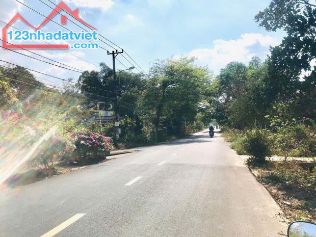 Bán Đất Mặt Tiền Xã Nhuận Đức, Diện Tích 215m2, Sổ Hồng Riêng - 2
