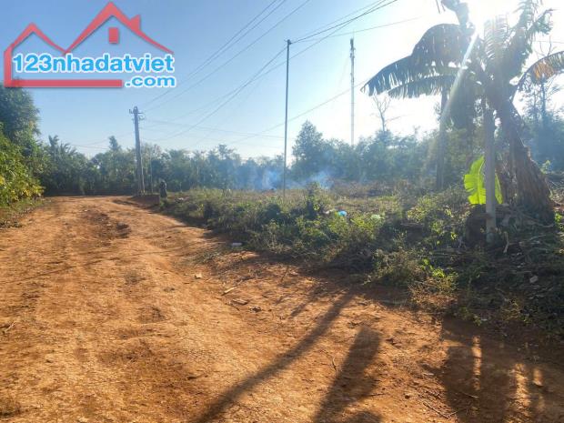 Giá rẻ nhất khu vực khu công nghiệp Phú Xuân Ea Drơng - Cư Mgar - Đăk Lăk - 2
