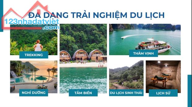 Chính thức nhận booking căn hộ view biển dự án Sun Cát Bà, vốn chỉ 720tr, miễn lãi gốc - 4