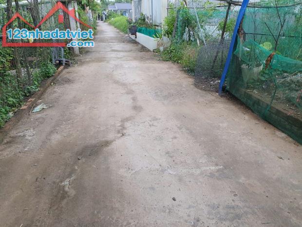 Bán đất nền phường 8 Bến Tre, diện tích 106m đường ô tô, khu dân cư hiện hữu - 2