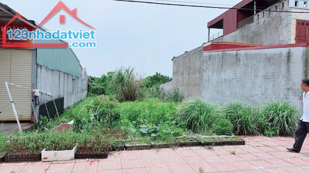 Bán siêu phẩm mặt đường TL 361 tại Đức Phong, Đại Đồng, Kiến Thụy, Hải Phòng - 3