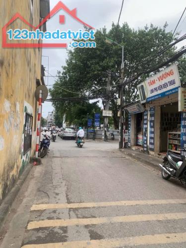 KINH DOANH, 87m2, Phố Hoa Lâm, Long Biên, nhỉnh 12 tỷ. - 1