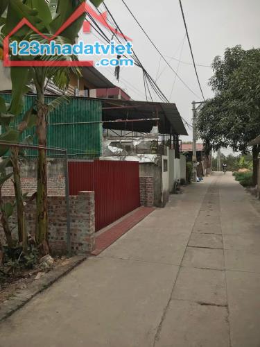 BÁN LÔ ĐẤT ĐẸP TẠI TỔ 9, THỊ TRẤN QUANG MINH, MÊ LINH – GIÁ HẤP DẪN, PHÁP LÝ RÕ RÀNG. - 3