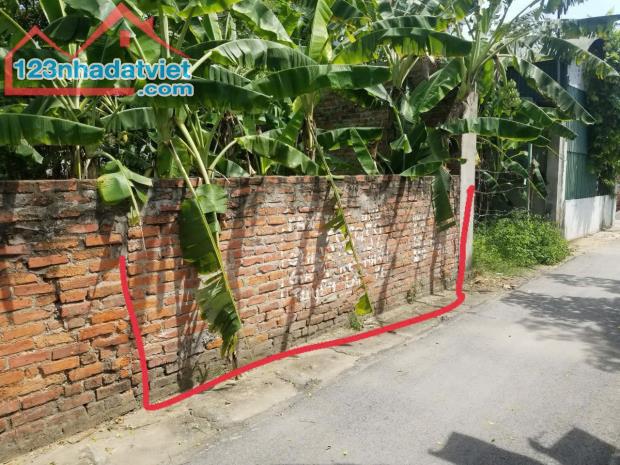 Bán đất đường Hoàng Hoa Thám, Lai Sơn, Đồng Tâm, Vĩnh Yên, full  thổ cư 100m2, giá 1,53ty - 2