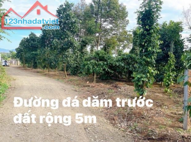 1200mv tại Ea Ktur, Cư Kuin DakLak có 400 thổ cư