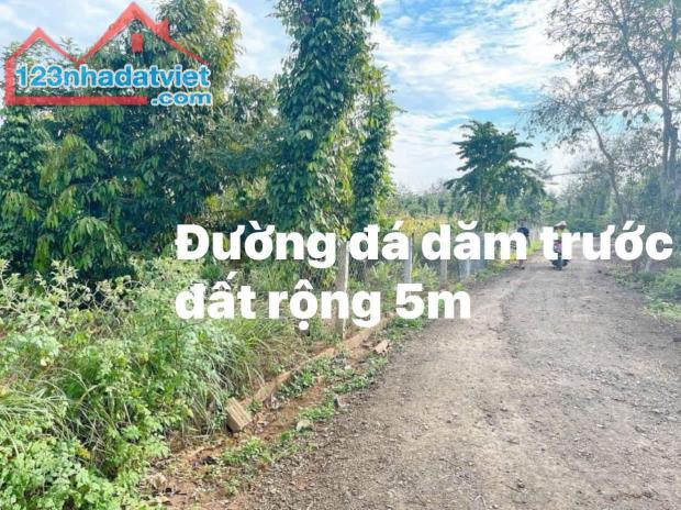 1200mv tại Ea Ktur, Cư Kuin DakLak có 400 thổ cư - 3