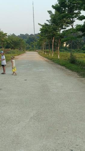 CƠ HỘI ĐẦU TƯ SINH LỜI – LÔ ĐẤT ĐẸP TẠI ĐỒNG CÁT, THỦY BẰNG, QUẬN THUẬN HÓA, TP. HUẾ - 1