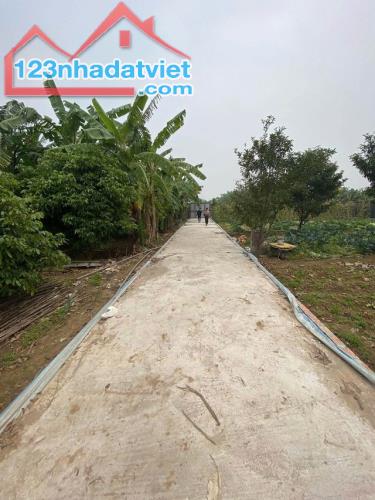 Bán đất vườn Bãi Sông Hồng An Dương Tây Hồ 1334m MT37m giá chỉ 1.5 tỷ