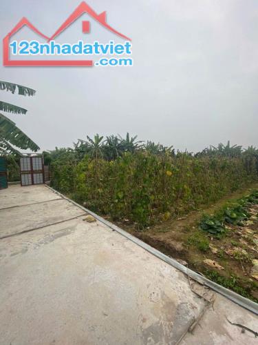 Bán đất vườn Bãi Sông Hồng An Dương Tây Hồ 1334m MT37m giá chỉ 1.5 tỷ - 1