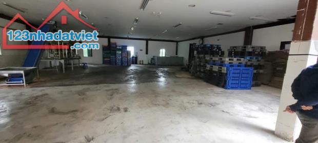 Kho xưởng giá tốt 600-700m2 Thạnh Xuân, Thạnh Lộc Quận 12 - 3