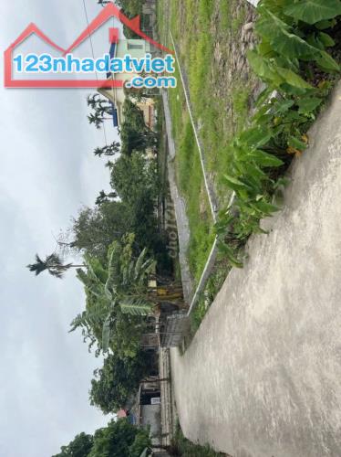 SPMB Đất - 01 : Bán đất An Lão giá rẻ gần khu KCN Tràng Duệ 3. - 3