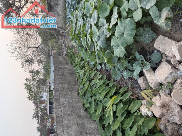 Đất lô góc xã Trường Thành, An Lão, Hải Phòng - 3