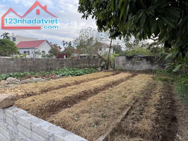 Đất lô góc xã Trường Thành, An Lão, Hải Phòng - 4