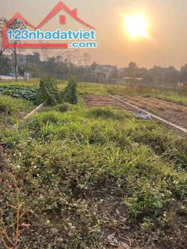92,41m2 full đất ở đô thị tại xuân mai chương mỹ hà nội
