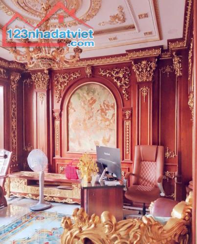 BÁN BIỆT THỰ DÁT VÀNG GẦN SÂN BAY – KIỆT TÁC KIẾN TRÚC HOÀNG GIA - 3