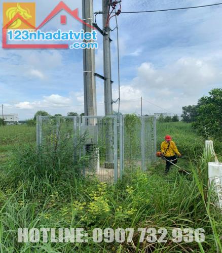 Dịch vụ cắt cỏ hoang quanh KCN bằng máy phát ở Đồng Nai, HCM