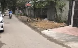 BÁN ĐẤT MẶT TIỀN ĐƯỜNG TAM THAI PHƯỜNG AN TÂY QUẬN THUẬN HOÁ TP HUẾ  Diện tích 170m2 MT 7m - 3
