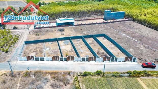 ✅THỊ TRẤN PHƯỚC HẢI- CÁCH TỈNH LỘ 44B CHỈ 450M; CÁCH BIỂN 5KM- LONG ĐẤT - BRVT  ✅DT 8x25