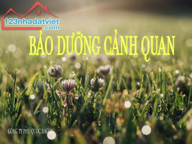 Những tiêu chí cần lưu ý khi chọn Dịch vụ cắt cỏ ở Đồng Nai, HCM, BRTV giá rẻ thu gom gọn