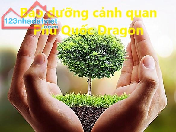 Những tiêu chí cần lưu ý khi chọn Dịch vụ cắt cỏ ở Đồng Nai, HCM, BRTV giá rẻ thu gom gọn - 1