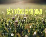 Những tiêu chí cần lưu ý khi chọn Dịch vụ cắt cỏ ở Đồng Nai, HCM, BRTV giá rẻ thu gom gọn