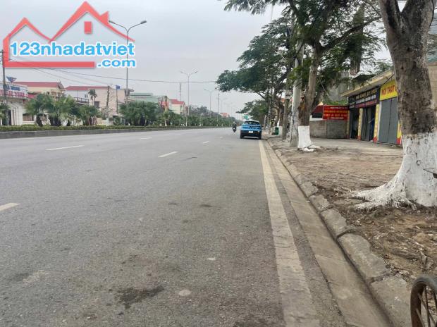 ❌❌❌2 lô đất liền kề cực đẹp tại mặt đường 353 - 4
