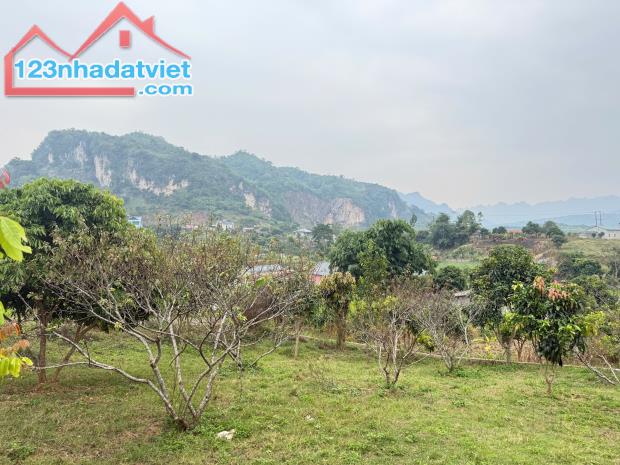 BÁN MẢNH ĐẤT VIEW ĐẸP TẠI BẢN LÙN, MƯỜNG SANG, TT MỘC CHÂU – SỔ SẴN, SANG TÊN NGAY!