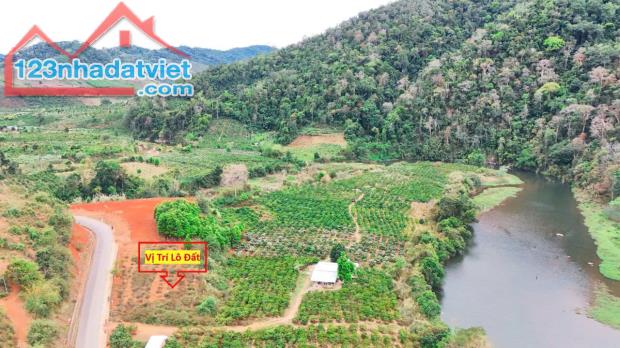 Đất Kon Rẫy-Kon Tum 299tr 400m2 sẵn thổ cư view núi sát hồ sổ sẵn - 3