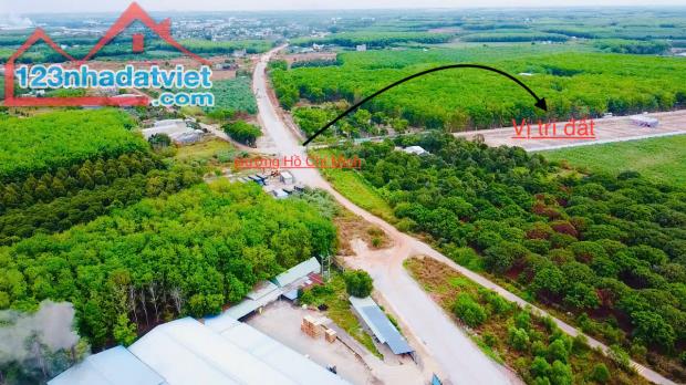 Đất nền Khu Công Nghiêp Bàu Bàng, giá rẻ - 1