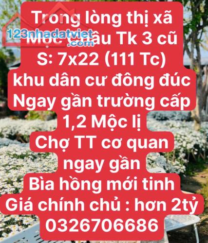 LÔ ĐẤT KHỦNG TẠI MỘC CHÂU - 2