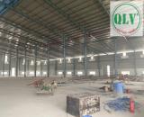 Cho thuê 6.000m2 nhà xưởng trong KCN Mỹ Phước, Bình Dương
