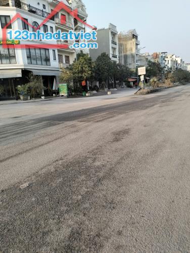 🔥Chỉ hơn 3 tỷ xíu 50m2 đất TĐC Xi Măng, Sở Dầu, Hổng Bàng - 1