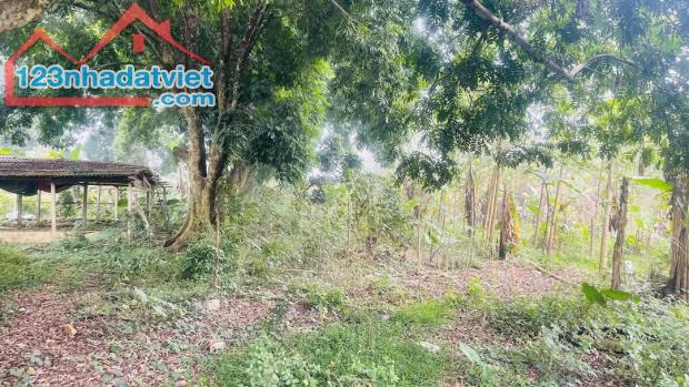 🔥 SIÊU HOT – BÁN LÔ ĐẤT NGHỈ DƯỠNG 3.687M² TẠI LƯƠNG SƠN, HÒA BÌNH – VIEW CỰC CHILL, THỔ