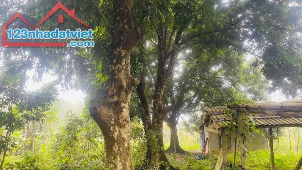 🔥 SIÊU HOT – BÁN LÔ ĐẤT NGHỈ DƯỠNG 3.687M² TẠI LƯƠNG SƠN, HÒA BÌNH – VIEW CỰC CHILL, THỔ - 1