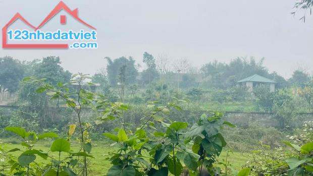 🔥 SIÊU HOT – BÁN LÔ ĐẤT NGHỈ DƯỠNG 3.687M² TẠI LƯƠNG SƠN, HÒA BÌNH – VIEW CỰC CHILL, THỔ - 2