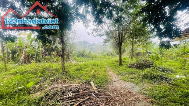 🔥 SIÊU HOT – BÁN LÔ ĐẤT NGHỈ DƯỠNG 3.687M² TẠI LƯƠNG SƠN, HÒA BÌNH – VIEW CỰC CHILL, THỔ - 3