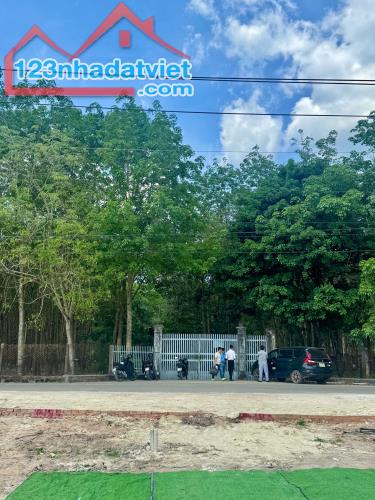 CẦN BÁN GẤP ĐẤT GẦN TRUNG TÂM BÀU BÀNG - 1