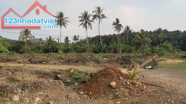 🌿 BÁN ĐẤT VƯỜN 15.326M²–VIEW HỒ ĐẸP, TIỀM NĂNG PHÁT TRIỂN HOMESTAY & DU LỊCH SINH THÁI - 2