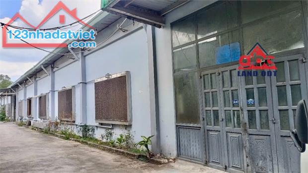 XT174 nhà xưởng sản xuất ngoài khu, tiếp nhận đa dạng ngành nghề. bàn giao SX liền - 1