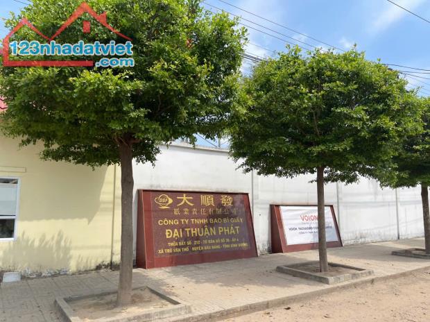 Đất nền Khu Công Nghiêp Bàu Bàng, giá rẻ - 2
