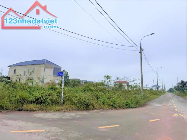 1236m2 - 2 mặt tiền đường Nguyễn An Ninh và Trịnh Hoài Đức - gần DA bệnh viện 245 - 1